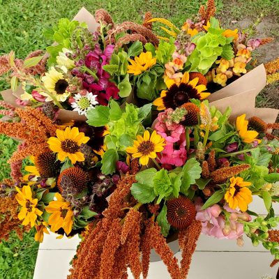 product image for summer CSA share